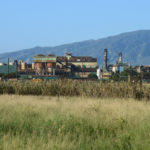 HC&S last harvest was ‘better than expected’